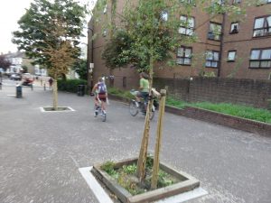 Trees forming part of a modal filter