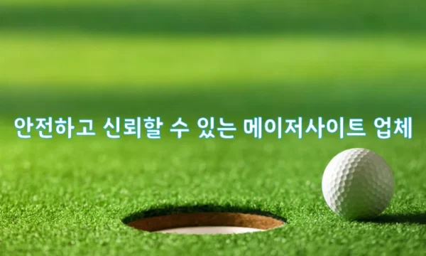 안전하고 신뢰할 수 있는 메이저사이트 업체소개